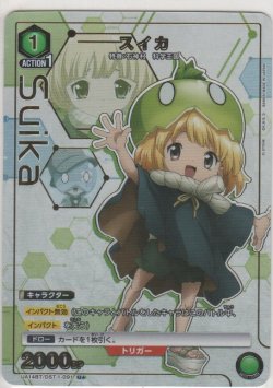 画像1: スイカ≪パラレル≫
