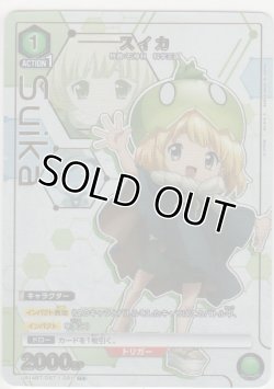 画像1: スイカ≪パラレル≫