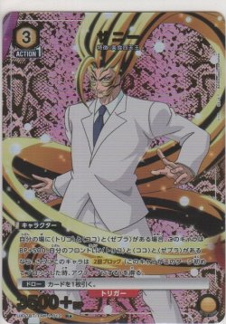 画像1: サニー≪パラレル≫