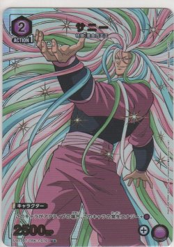 画像1: サニー≪パラレル≫
