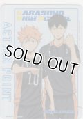 アクションポイント（ハイキュー）≪日向翔陽影山飛雄＆≫