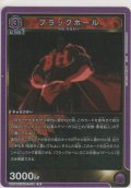 ブラックホール