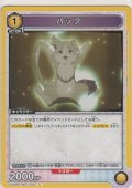 パック