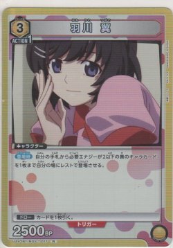 画像1: 羽川 翼