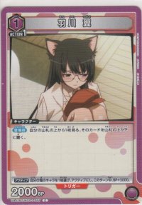 羽川 翼