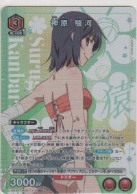 神原 駿河≪パラレル≫