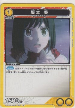 画像1: 坂本 葵