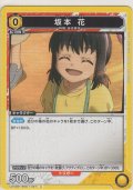 坂本 花