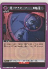 仰せのとおりに――お姫様！