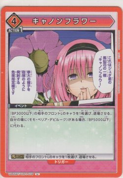 画像1: キャノンフラワー