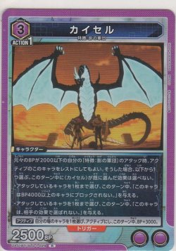 画像1: カイセル