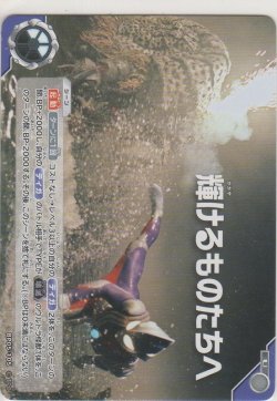 画像1: 輝けるものたちへ