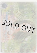 復活の聖剣≪ＥｘＰ≫