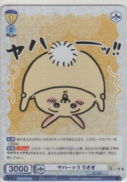画像1: ヤハーッ!! うさぎ