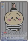 捕まっちゃった！ うさぎ