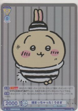 画像1: 捕まっちゃった！ うさぎ