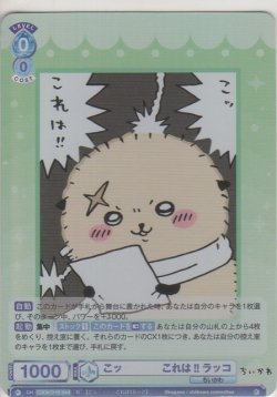 画像1: こッ・・・・これは!! ラッコ