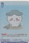 しょんぼり ハチワレ