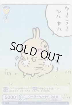 画像1: ウ〜ラ〜ヤハヤハ うさぎ