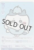 妖精さん ハチワレ