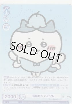 画像1: 妖精さん ハチワレ