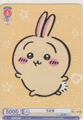 うさぎ