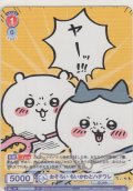 おそろい ちいかわとハチワレ