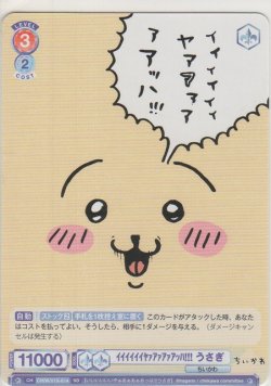 画像1: イイイイイイヤァアァアァアッハ!!! うさぎ