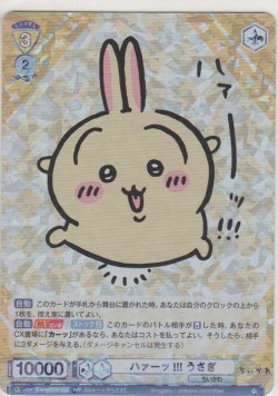 画像1: ハァーッ!!! うさぎ