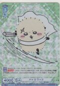 ハッ!!! ラッコ