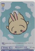 空からふわり うさぎ