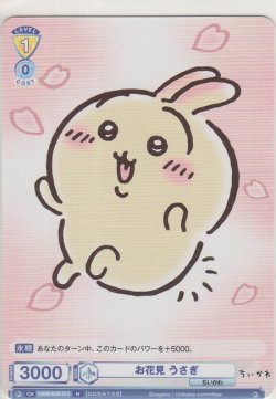 画像1: お花見 うさぎ