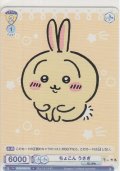 ちょこん うさぎ