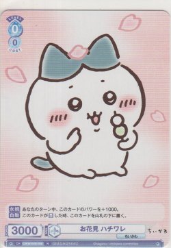 画像1: お花見 ハチワレ