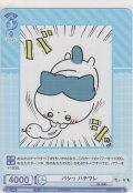 バシッ ハチワレ
