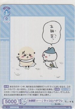 画像1: 「お師匠・・ッ・」ラッコとハチワレ