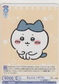 ちょこん ハチワレ