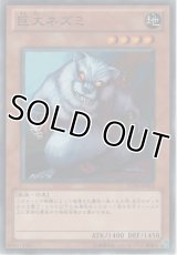 巨大ネズミ【ノーマル】