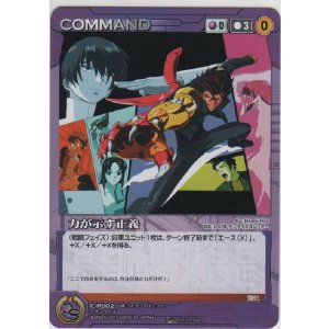 画像: 力が示す正義