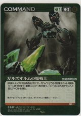 画像: ガルズオルムの魔戦士