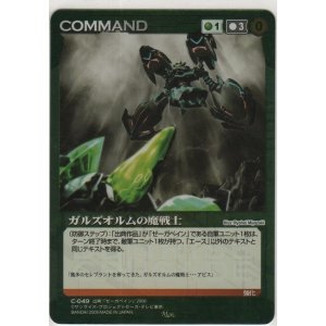 画像: ガルズオルムの魔戦士