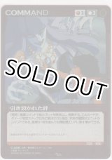 画像: 引き裂かれた絆