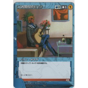 画像: パイン・サラダ