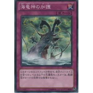 画像: 海竜神の加護【ノーマル】