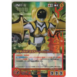 画像: アキバイエロー（アキバパイロン）