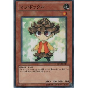 画像: マツボックル【ノーマル】