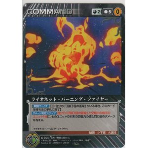 画像: ライオネット・バーニング・ファイヤー