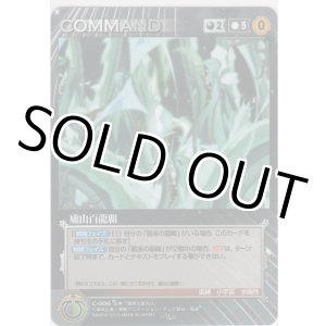 画像: 廬山百龍覇