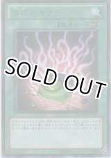 画像: 強欲なカケラ【レア】