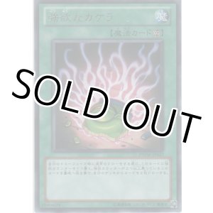 画像: 強欲なカケラ【レア】